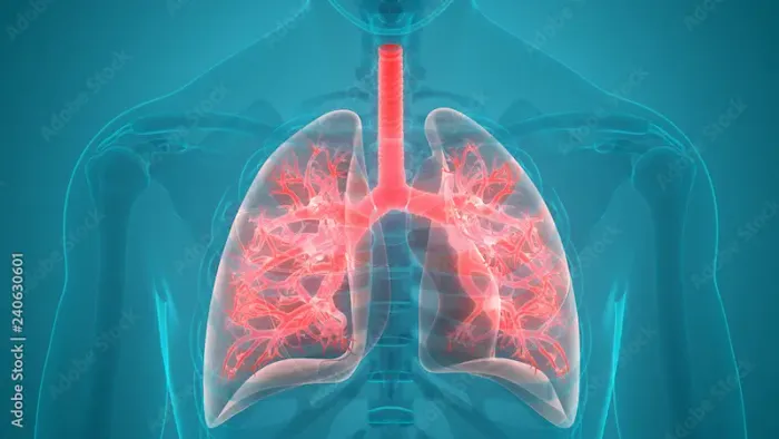 Guide to Preventing Pneumonia In Cold Weather